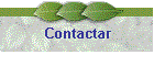Contactar