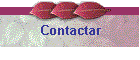 Contactar