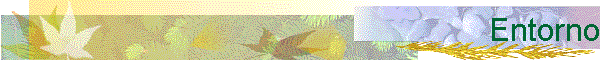 Entorno