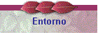 Entorno