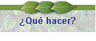 �Qu� hacer?